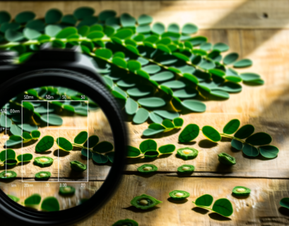 Moringa for Weight Loss: A Natural Approach to Shedding Pounds