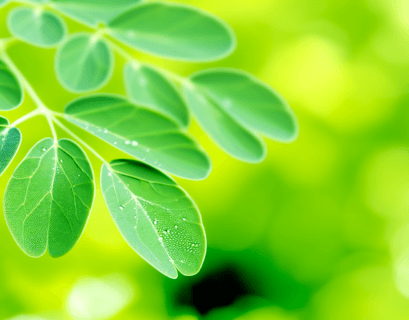 Moringa and Mental Clarity: Boost Your Focus Naturally