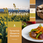 From Golden Fields to My Plate: Unveiling Turmeric Health Benefits